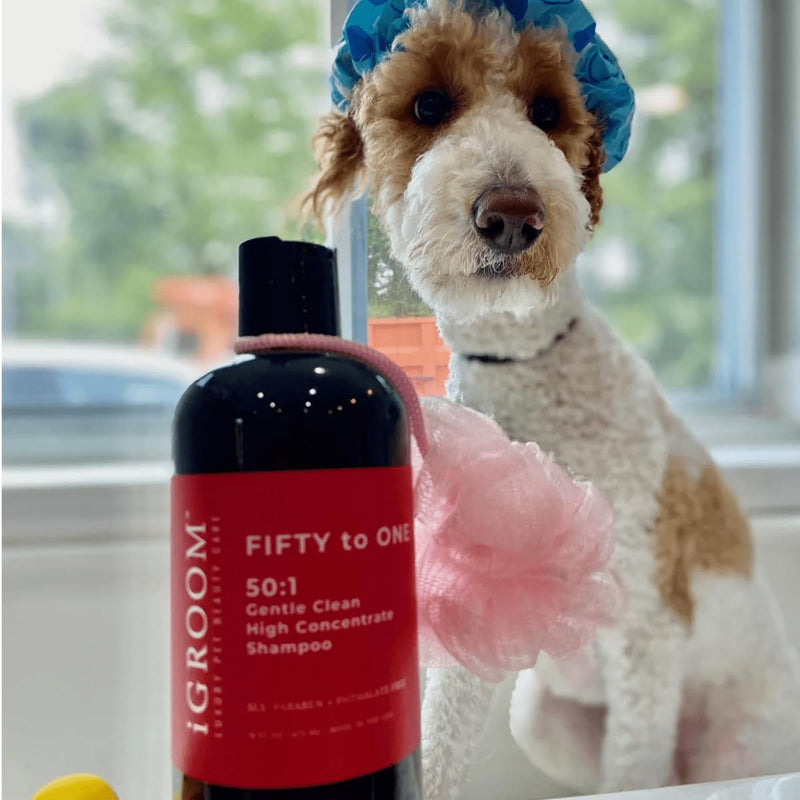 iGroom 50 to 1 Dog Shampoo - Delightfully Fragranced & Highly Concentrated – Best Dog Shampoo - Groom Like Professional - Environmentally Sustainable – Sooth & Nourish Coat - Made in USA, 16 oz - PawsPlanet Australia