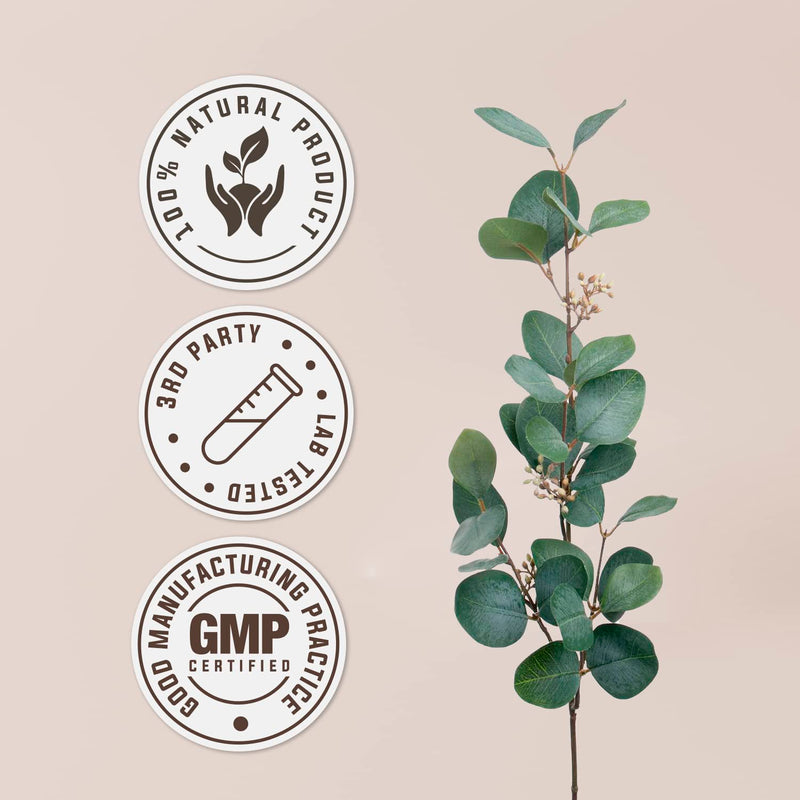 [Australia] - Thyme 60 Capsules | High-Potency Capsules, Herbal Dietary Supplements | Made with Vegetable Capsules and USDA Organic Thyme (Thymus Vulgaris) Dried Leaf (60 Capsules) 60 Count (Pack of 1) 