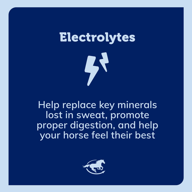 SmartPak SmartLytes Paste Horse Electrolyte Paste | Encourages Hydration, Replenishes Electrolytes, No Added Sugar, Apple Banana Flavor, Pack of 6 Tubes - PawsPlanet Australia