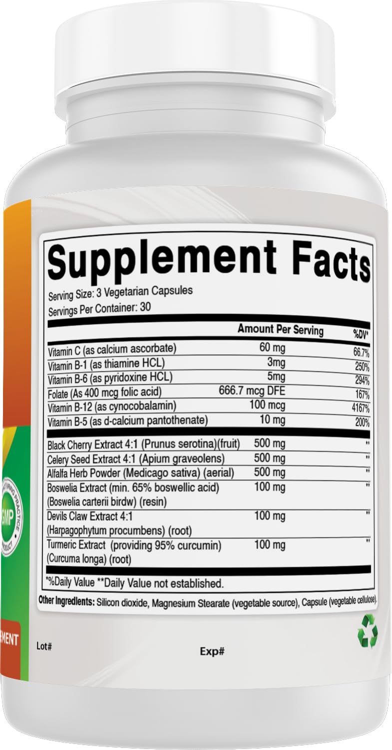 Best Naturals Uric Acid Cleanse Vitamins for Men and Women - 90 Veggie Capsules (90 Count (Pack of 1))