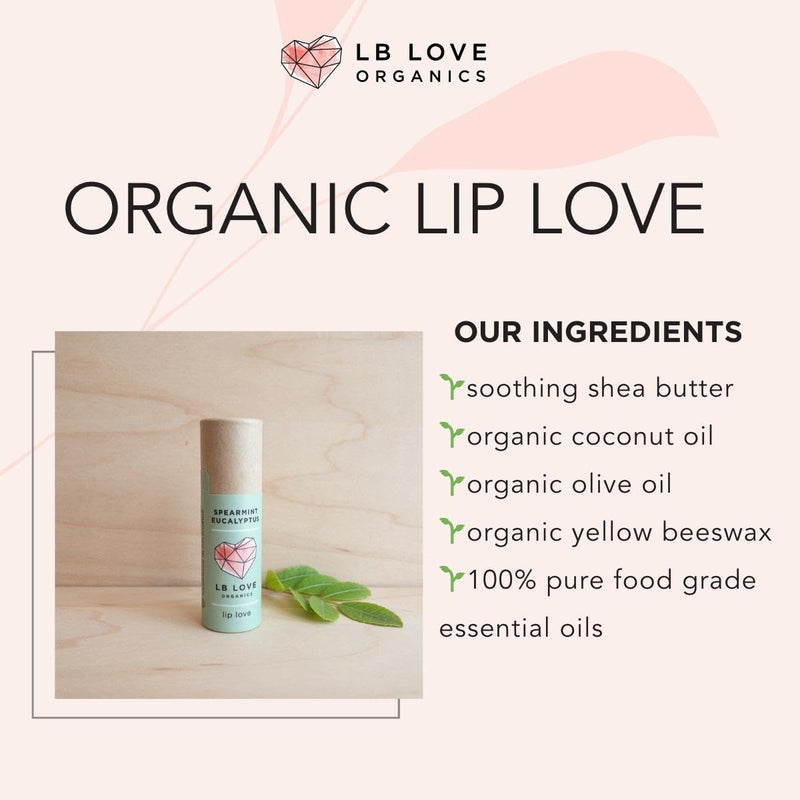 Plastic Free Lip Love | Jumbo Organic Lip Balm | Organic Beeswax and Plant Based | Zero Waste Natural Lip Balm (Spearmint Eucalyptus) Spearmint Eucalyptus