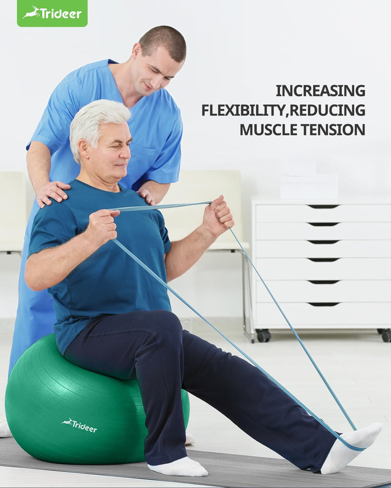 [Australia] - Trideer Exercise Ball for Physical Therapy, Swiss Ball Physio Ball for Rehab Exercises, Workout Fitness Ball for Core Strength, Yoga Ball for Balance & Flexibility M(19-22ines/48-55cm) 