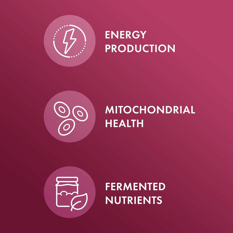 [Australia] - Dr. Mercola Organic Fermented Beets - Nitric Oxide Support - USDA Organic, Non-GMO, Gluten-Free & Soy-Free - 60 Capsules 