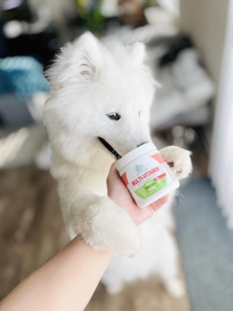 Four Paws Healthy Promise Dog Multivitamin Soft Chews 120 Count - PawsPlanet Australia