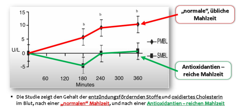 [Australia] - AntiOxi´s – 150 capsules | Plant complex with very high antioxidant content | recommended with every meal | NO extracts, additives or insects | Premium botanicals from the nutrition garage 