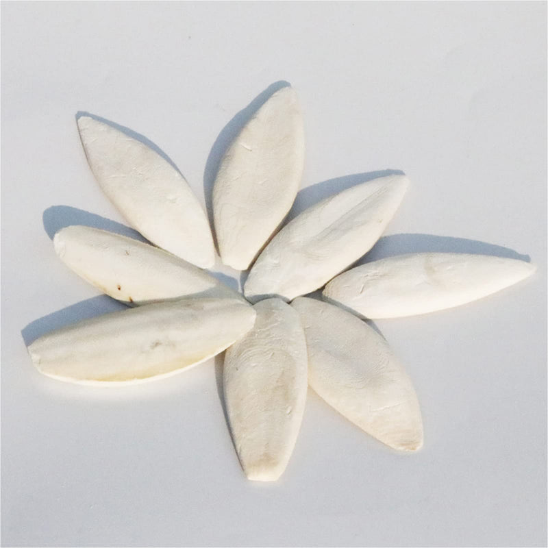 Afkengung 3 Pieces Cuttlebone Natural Cuttlebone Calcium Block for Birds Parakeets Reptiles Turtles Grindable Powder Feeding Natural Calcium Supply Improve Pet Immunity Each 5.5-6.5 Inch - PawsPlanet Australia