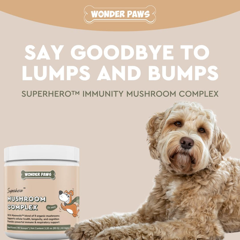 Mushroom Complex Powder Plus Milk Thistle Drops - for Dog Immune Support, Vitality Liver, Detox & Overall Wellness – Mushroom Complex 90 Scoops - Milk Thistle 2 Ounces - PawsPlanet Australia