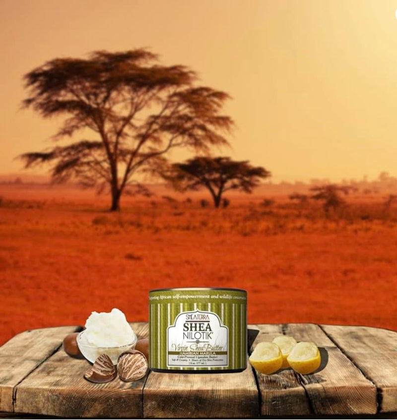 Shea Terra Organics - Cold-Pressed Virgin Shea Butter, Namibian Marula | Anti-aging marula moisturizer for dry skin, nails & hair. Softens & hydrates. Reduces the look of stretch marks & wrinkles. 6 Ounce (Pack of 1)