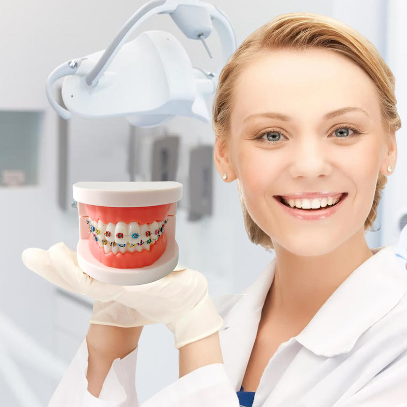 Dental Orthodontic Teeth Model with Colorful Braces, Professional Denture Mouth Model Demonstration Study Tool for Dentistry Students and Orthodontists, Tooth Teaching Equipment with Bracket Supplies