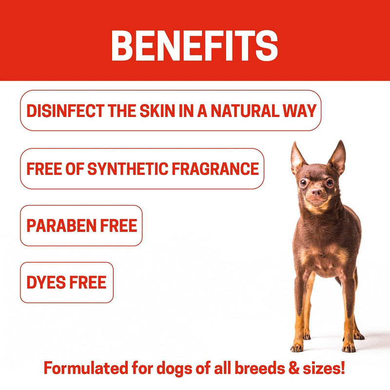Natural Dog Shampoo for Hot Spots And Sores | Soothing Relief for Irritated Or Itchy Skin | Made In The USA With Organic and Natural Ingredients | Made with essential oils | 16fl oz 473 ml. For Hot Spots & Sores - PawsPlanet Australia