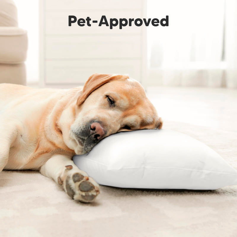 [Australia] - Toddler Pillow with Pillowcase - 13x18 My Little Cuddly Pillow, Viscose Derived From Bamboo Nursery Toddler Pillows for Sleeping,Kids Pillow,Small Travel Pillows,Mini Toddler Bed Pillow (Soft White) Soft White 