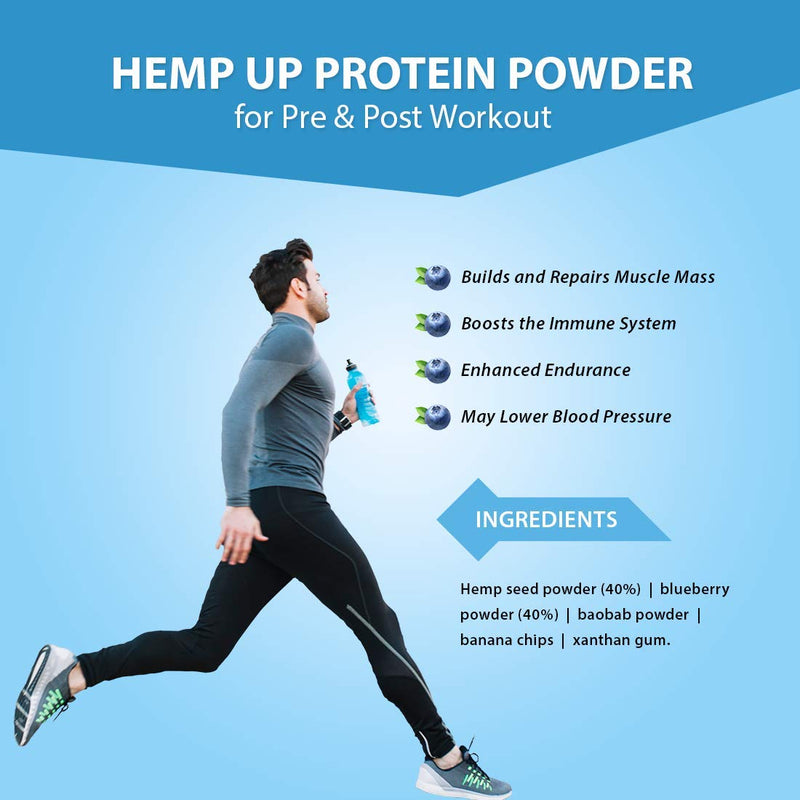 Canah® Hemp Up Blueberry Organic Shake - Fit Hemp Protein Shake for Healthy Lifestyle Meal Replacement Shake with Premium Ingredients for Optimum Nutrition Allergen Free High in Protein 300 Grams