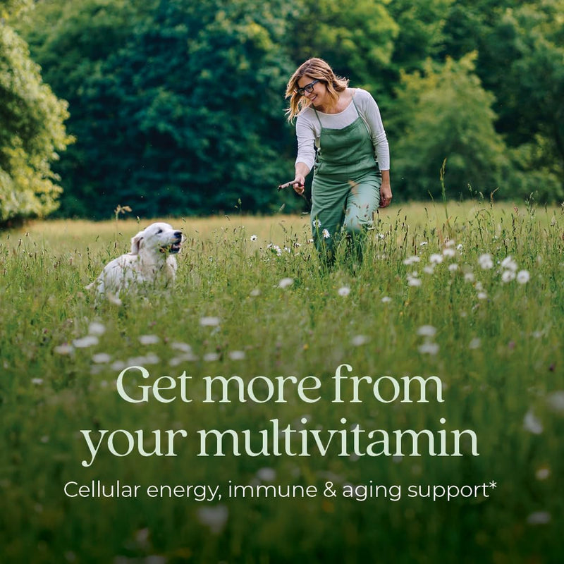 New Chapter Every Woman’s One Daily 40+ - Multivitamin for Women - Supports Immune, Bone, Hormone & Cellular Energy Health* - Non-GMO, Gluten Free, Dairy Free, Vegetarian & Kosher - 96 Tablets 96 Count (Pack of 1)