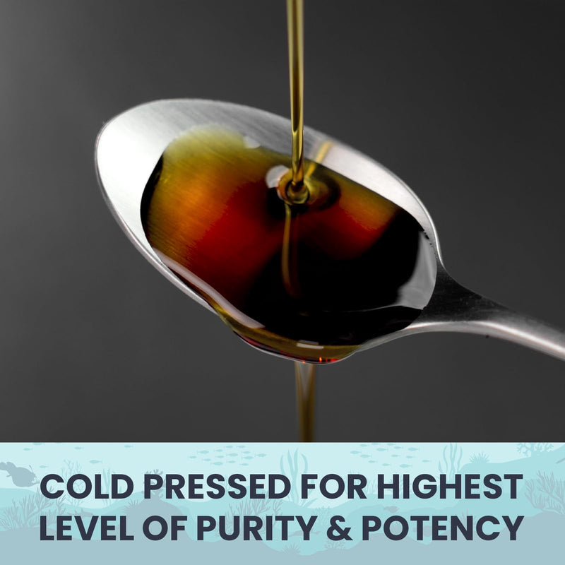 [Australia] - Pure Organic Cold-Pressed Black Seed Oil Capsules - Vegan Non-GMO Pure Nigella Sativa Black Cumin Seed Oil for Beauty Immunity & Overall Wellness Support - Thymoquinone-Rich 1000mg Serving (60 Day) 