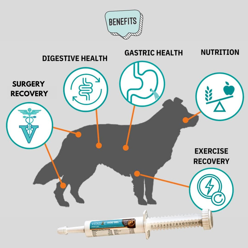 Vitalize Dog Gel - After Surgery Recovery & Probiotics Alternative Immune Support Booster Supplement for Dogs Digestive & Gut Health - Liquid Gel Paste (15 ml) - PawsPlanet Australia
