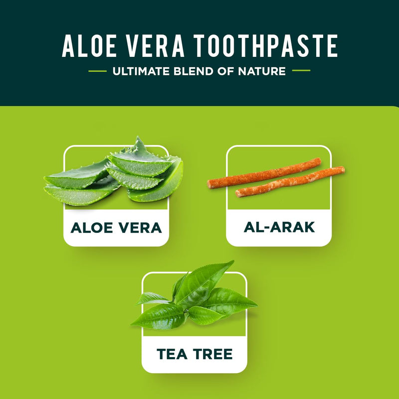 [Australia] - Dabur Herbal Toothpaste - Oral Care with All Natural, Fluoride-Free Formula and Healthy Toothpaste Bliss- Infused Brilliance for a Naturally Fresh Breath - Aloe Vera 100ml (Pack of 3) 1.13 Fl Oz (Pack of 3) 