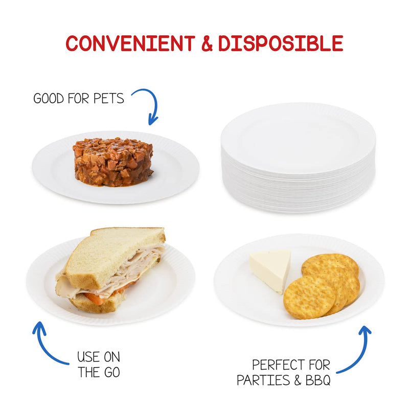 [Australia] - Hygloss Products Paper Plates - Uncoated White Plate - Use for Foodware, Events, Activities, Crafts Projects and More - Environmentally Friendly - Recyclable and Disposable - 6-Inches - 100 Pack 6-Inch 100-Pk 