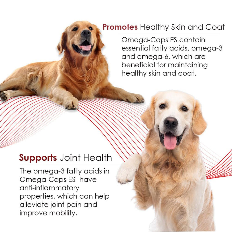Omega-Caps Extra Strength for Large Breeds-Vet Formulated for Healthy Radiant Skin & Coat While Reducing Excess Shedding. Contains Omega 3 for Immune System Support, Easy to Dose, 60 Soft Gel Capsules 60 Caps - PawsPlanet Australia