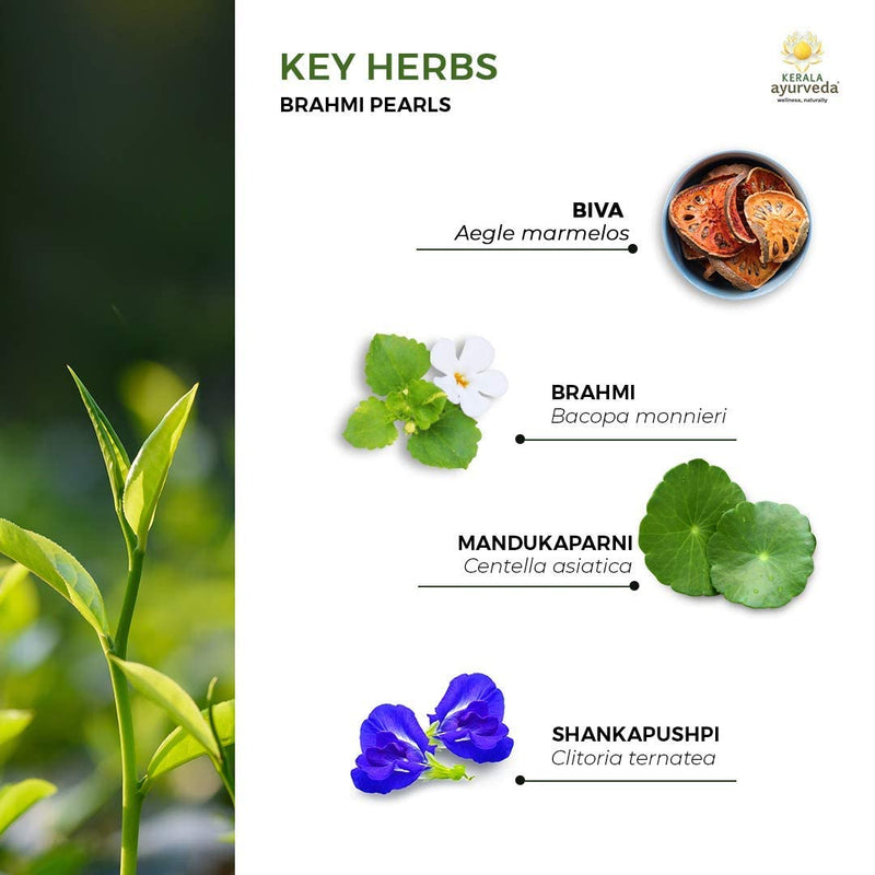 [Australia] - Kerala Ayurveda Brahmi Pearls soft gel capsules with Bacopa - Designed to support overall cognitive health, including memory, focus, and concentration. 60 Count 