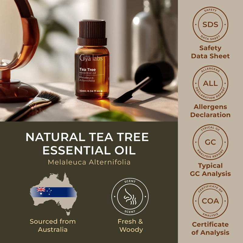 [Australia] - Gya Labs Australian Tea Tree Oil for Skin, Hair, Face & Toenails - 100% Natural Melaleuca Oil Tea Tree Essential Oil for Piercings, Scalp, Hair & Candle Making - 100% Pure Oils (0.34 fl oz) Tea Tree (Supreme) 0.34 Fl Oz (Pack of 1) 