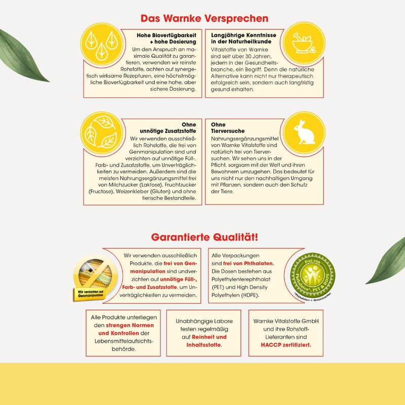 [Australia] - Acetyl-L-Carnitine capsules - 750mg - 120 capsules - high dosage - vegan | Warnke vital substances - German pharmacy quality 