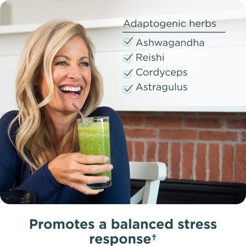 [Australia] - Ancient Nutrition Super Greens Powder, Organic Superfood Powder with Probiotics Made with Spirulina, Chlorella, Matcha, and Digestive Enzymes, 25 Servings, 7.05oz 