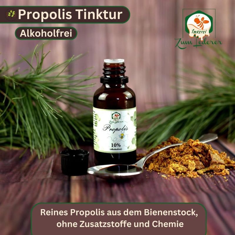 [Australia] - Propolis drops without alcohol - from the beekeeper - Propolis for children, animals and adults - 10% propolis extract from Germany - Propolis drops without alcohol (30ml, 30, milliliter) 30 ml (pack of 1) 30.0 
