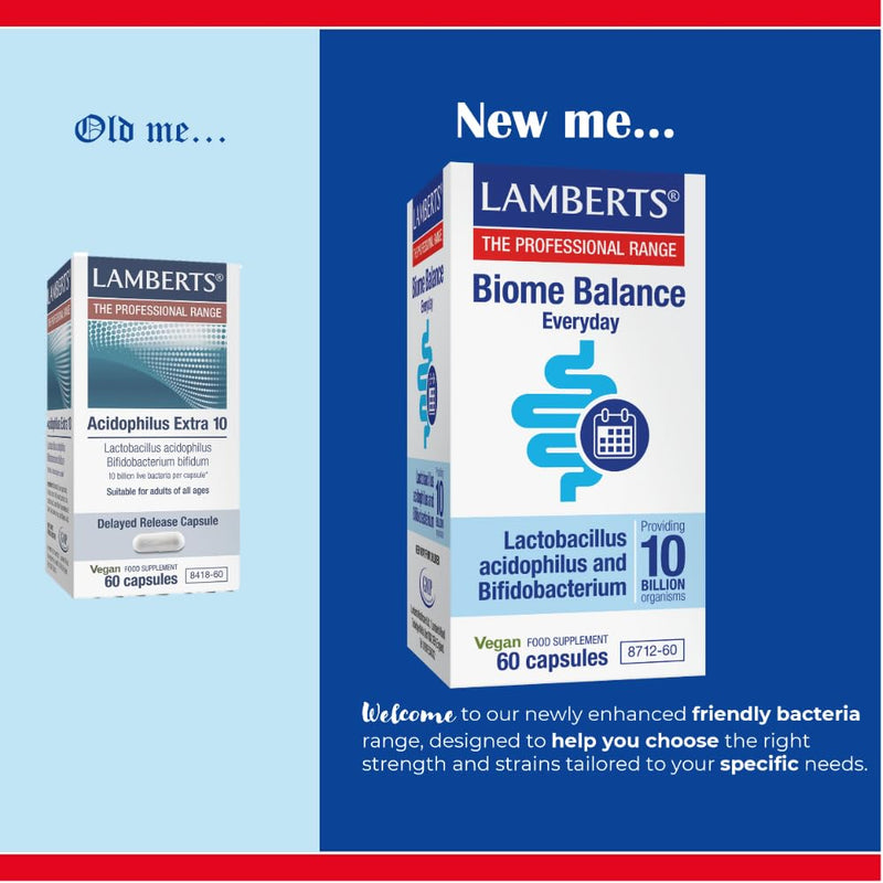 Lamberts Biome Balance Everyday – 10 Billion CFU – with Lactobacillus Acidophilus & Bifidobacterium Bifidum – 60 Capsules