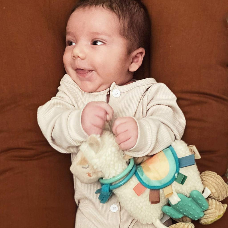 [Australia] - Itzy Ritzy Link & Love Toy for Stroller or Car Seat; Features Textured Ribbons, Crinkle Sounds, Clinking Rings & Silicone Teether; Designed For Ages 0 Months and Up (Llama) Llama 