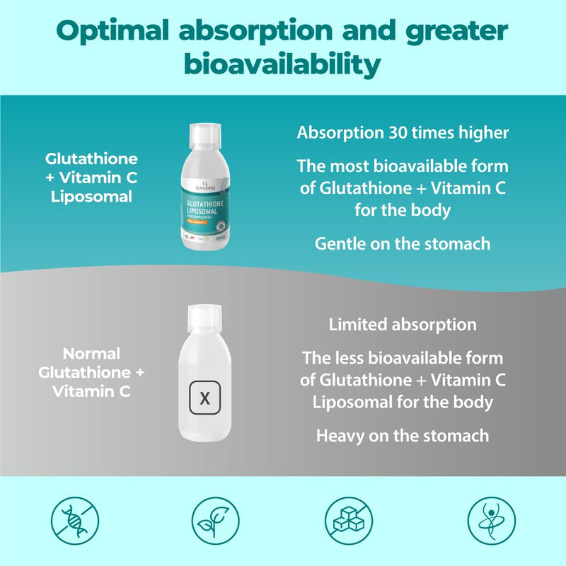 Bandini® Liposomal Glutathione + Vitamin C - Advanced Liquid Antioxidant 250 ml - Reduced Setria® L-Glutathione (250mg) and Vitamin C (790mg) per Serving - High Bioavailability - Liposomal Technology