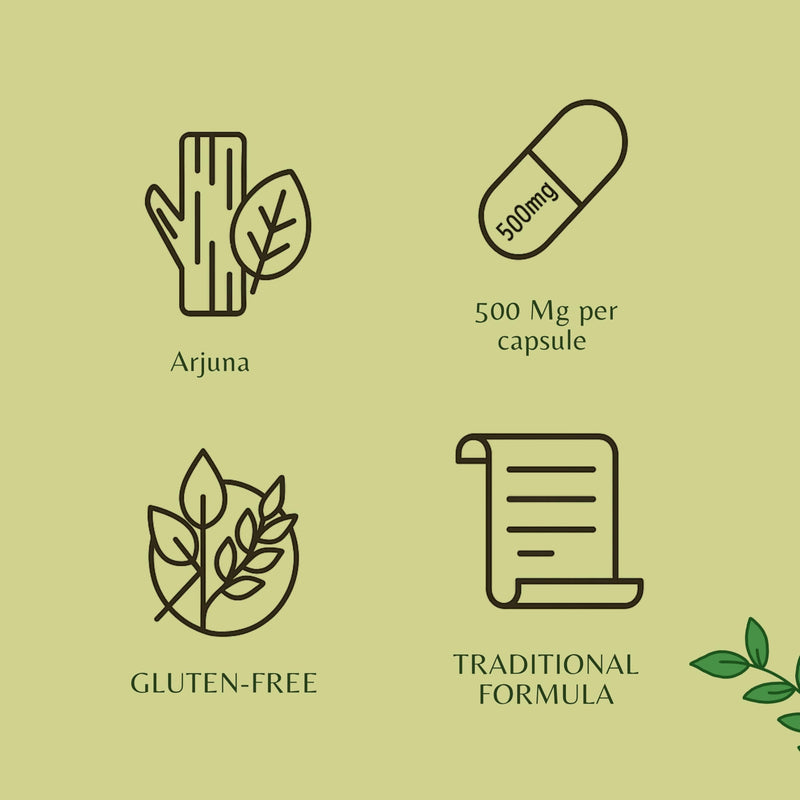[Australia] - Arjuna Extract 500mg - 60 Vegetarian Capsules| |Terminalia Arjuna Tannis |All Natural | 100% Vegan | Gluten-Free | GMP Certified 60 Count (Pack of 1) 