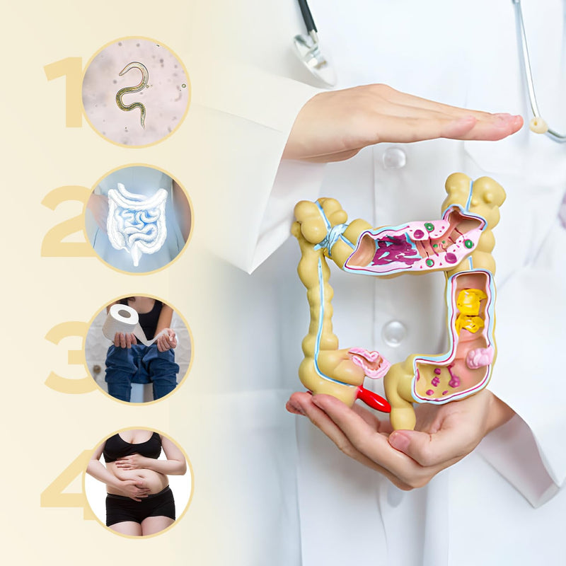 [Australia] - Add Ana Bromelain syrup - Coenzyme Q10 - Natural pineapple extract - Immune system* Support, accelerate metabolism, lose weight - for drainage in case of edema - Vegan Yellow 