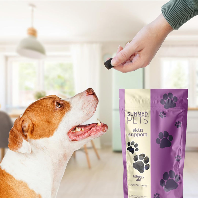 Skin Support Dog Allergy Relief Chews with Nettle, Quercetin & Green-Lipped Mussel - Natural Seasonal Dog Allergy Chews to Soothe Skin & Support Health, 40 Count - PawsPlanet Australia