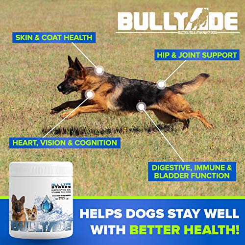 Natural Dog Supplement with 18 Vitamins & Minerals. Mixes with Water or Food. (Beef) Beef - PawsPlanet Australia