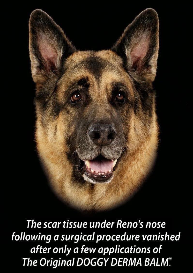 Doggy Derma Balm Jumbo-Sized Skin Repair Stick w/Manuka Honey. Soothes & Heals Dog's Dry Cracked Noses, Paws, Bulldog Wrinkles 100% Natural (1-Pack) Doggy Derma Balm (1 Pack) - PawsPlanet Australia