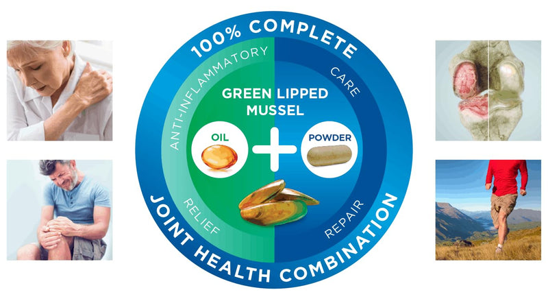 AMINOLAB - Green LIPPED Mussel 2500mg 365 Tablets - Supports Joint Health & Mobility, Promotes Cartilage Repair, Reduces Muscle Soreness & Inflammation - Rich in NUTRIENTS.
