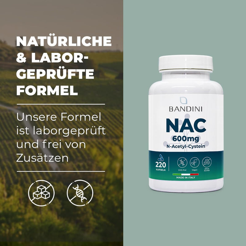 [Australia] - Bandini® NAC N-Acetyl L-Cysteine | 220 capsules - 600 mg (More than 7 months supply) | Glutathione Precursors, Natural Antioxidants, 100% Pure N Acetyl Cysteine Amino Acids | High dosage, vegan 