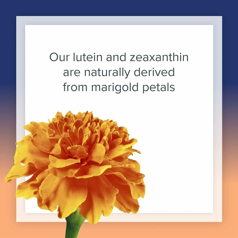 [Australia] - Natural Factors, Lutein 40 mg, Antioxidant Support for Healthy Eyes and Skin with Zeaxanthin, 60 Softgels 60 Count (Pack of 1) 