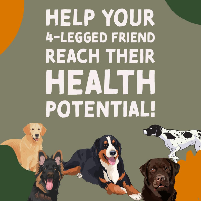 DogBone Wild Alaskan Fish Oil for Dogs 32 oz | Salmon Oil for Dogs | Dog Fish Oil | Omega 3 for Dogs | Dog Joint Supplement | Dogs Vitamins and Supplements | Salmon Oil for Dogs Skin and Coat - PawsPlanet Australia