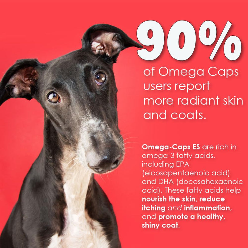 Omega-Caps Extra Strength for Large Breeds-Vet Formulated for Healthy Radiant Skin & Coat While Reducing Excess Shedding. Contains Omega 3 for Immune System Support, Easy to Dose, 60 Soft Gel Capsules 60 Caps - PawsPlanet Australia