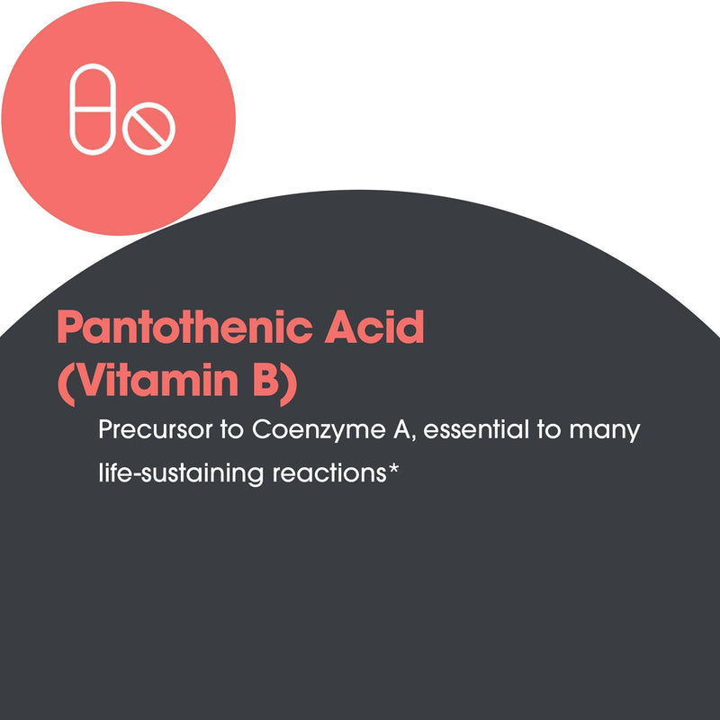 ARG Pantothenic Acid 500 mg Vitamin B5, Metabolic, 90 Count | 500 mg Vitamin B5 in Hypoallergenic Vegetarian Capsules for Metabolism and Adrenal Gland Support, 90 Servings