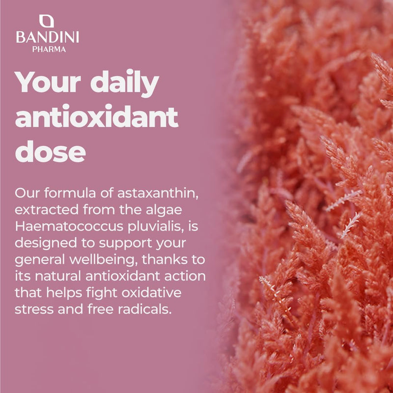Bandini® Pure Astaxanthin 18 mg per capsule | 90 capsules - 3 months' supply | Powerful natural antioxidant from Haematococcus Pluvialis algae - Natural Astaxanthine, Magnesium stearate-free, GMO-free