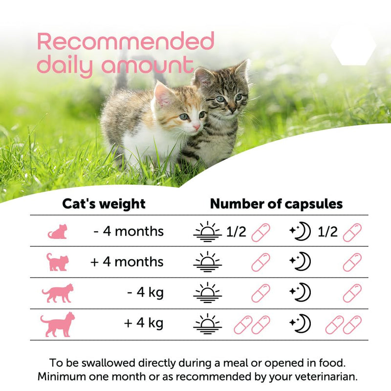 MP Labo Lysine MP 100 Capsules for Cats and Kittens - Rich in L-Lysine