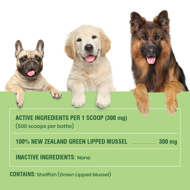Green Lipped Mussels for Dogs & Cats - Premium Joint Supplement Powder for HIPS, Joints, and Muscles (150 Grams, Up to 500 Servings) 150 Grams - PawsPlanet Australia