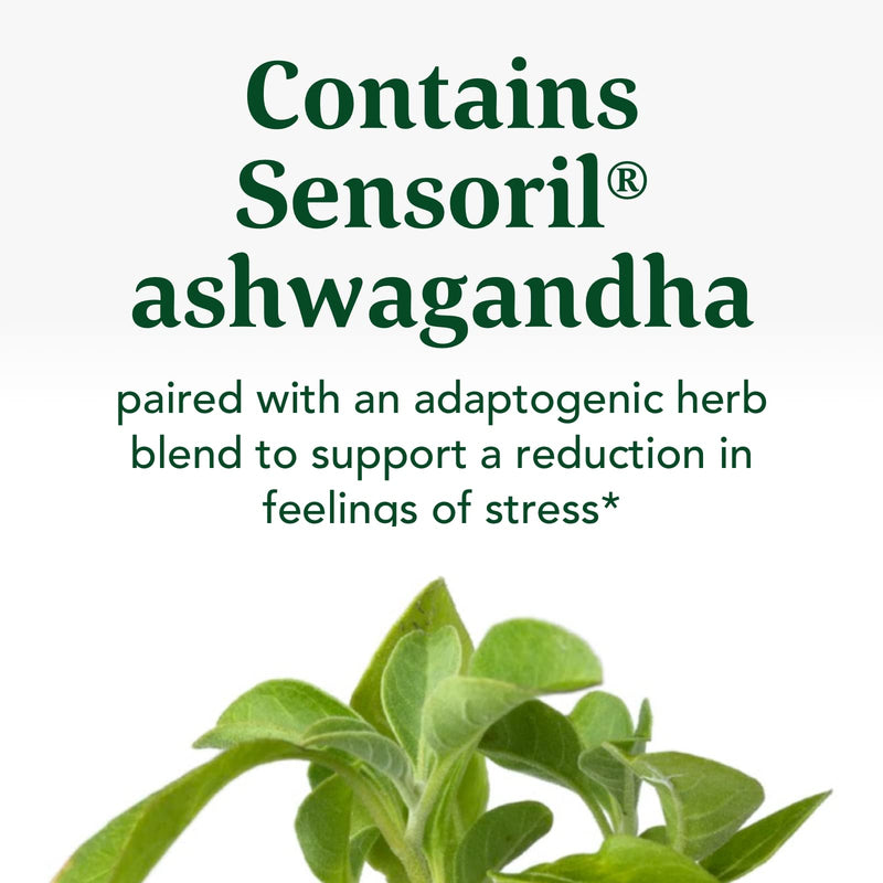 [Australia] - MegaFood Stress Protect with Ashwagandha & Herb Blend -Supports Healthy Stress Response - Rhodiola Root, Vegetarian, Non-GMO, Gluten-Free - Made without 9 Food Allergens - 60 Tabs (30 Servings) 60 Count (Pack of 1) 
