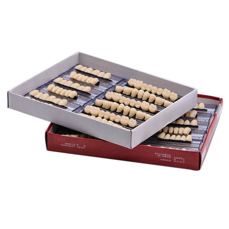 [Australia] - RZJZGZ 168 Pcs Dental Synthetic Resin Tooth Denture Temporary False Teeth 6 Sets False Teeth 23 A2 