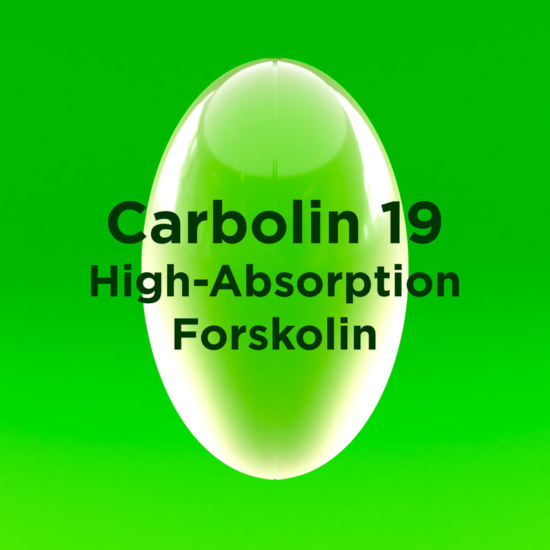 [Australia] - Biotest Carbolin 19 High-Performance Forskolin (30 Day Supply) 60 Softgels 