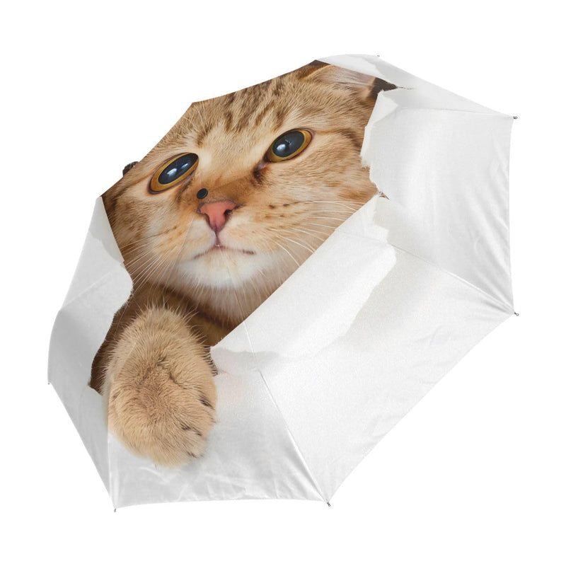 Black Compact Travel Umbrella Maine Coon Cat Auto Open Close Umbrella Windproof Anti-UV Cat #2