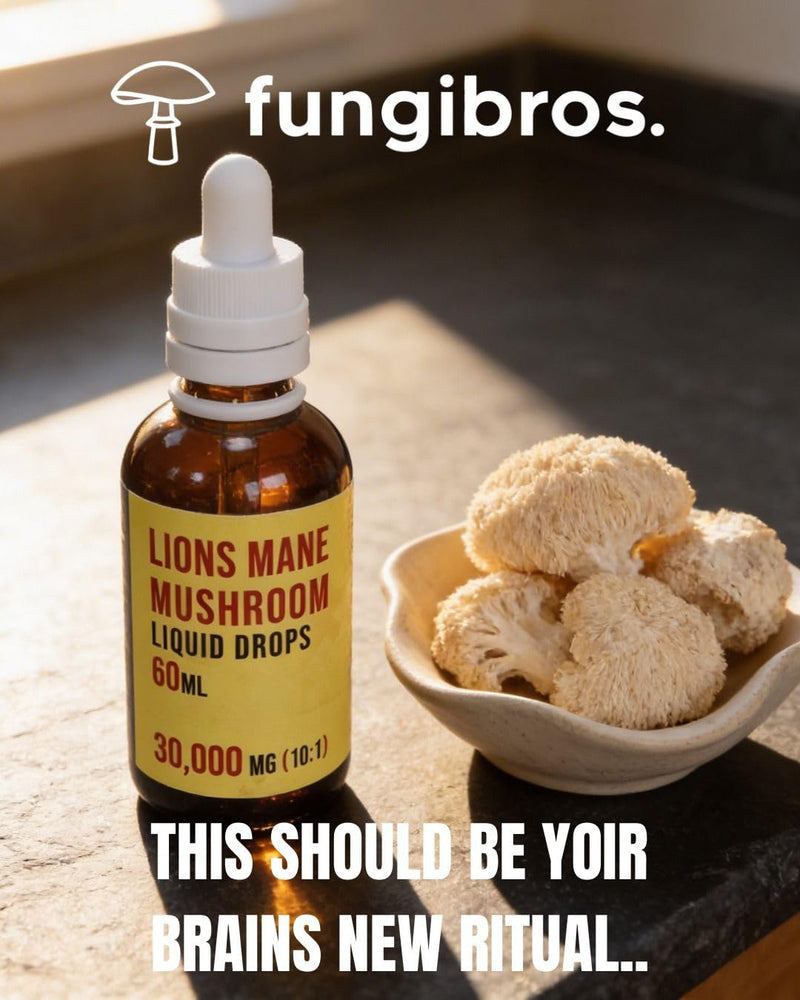 Lions Mane Liquid Drops 30,000mg | 10:1 Fruiting Body Extract | Focus, Clarity & Brain Fog Support | Fast Absorption | 60ml 2 Month Supply | UK Made