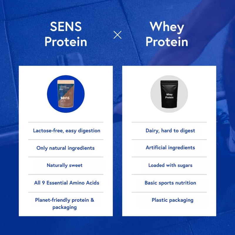 SENS Protein Powder x Adam Ondra, All-Natural Protein Powder, Protein Powder Without Lactose, Cricket Protein Shake with Insect Protein (455g, Banana) 455g